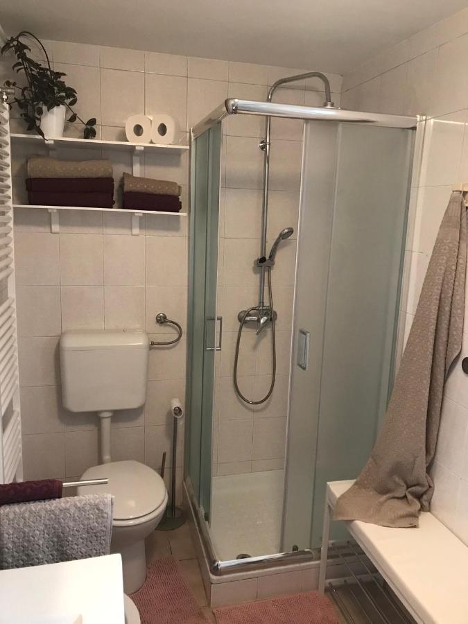 Koradinovi - Pod Vrtom Lägenhet Vipava Exteriör bild