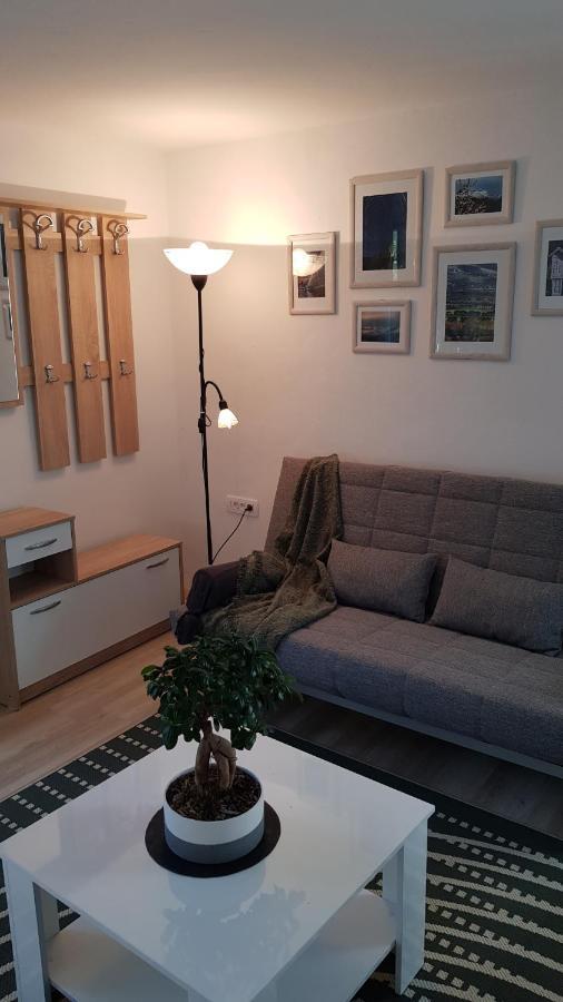 Koradinovi - Pod Vrtom Lägenhet Vipava Exteriör bild